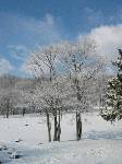 公園の雪景色。何気ない風景なのに、カメラに収めると妙に新鮮
