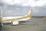 ANAʁ֋ցBuV`vANA B737-700 GOLD JET