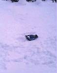 二階の窓から。庭の雪に埋もれている物体は、三女だった・・・（お父さんの携帯撮影）