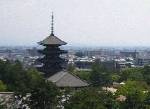 奈良県庁の屋上からの景色。もちろん無料