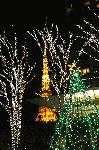 東京タワーとクリスマスイルミの競演