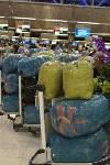 タイの空港では、荷物を傷つけられないよう「バックラップ」が人気。北海道のラップサイロみたい